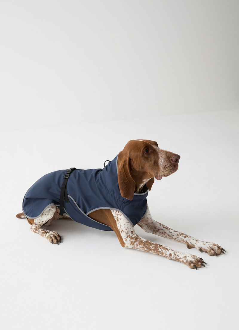 Waterproof jacket for dogs