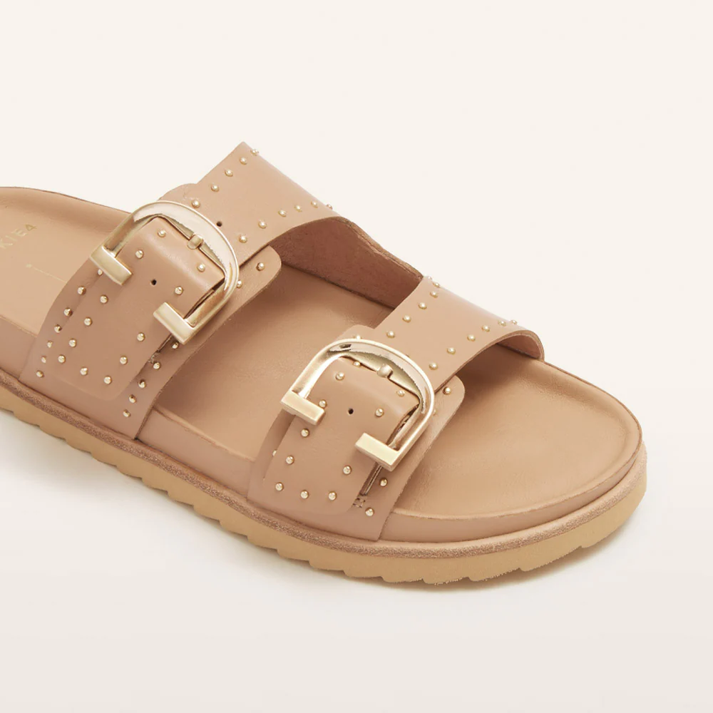 Deon Camel Stud