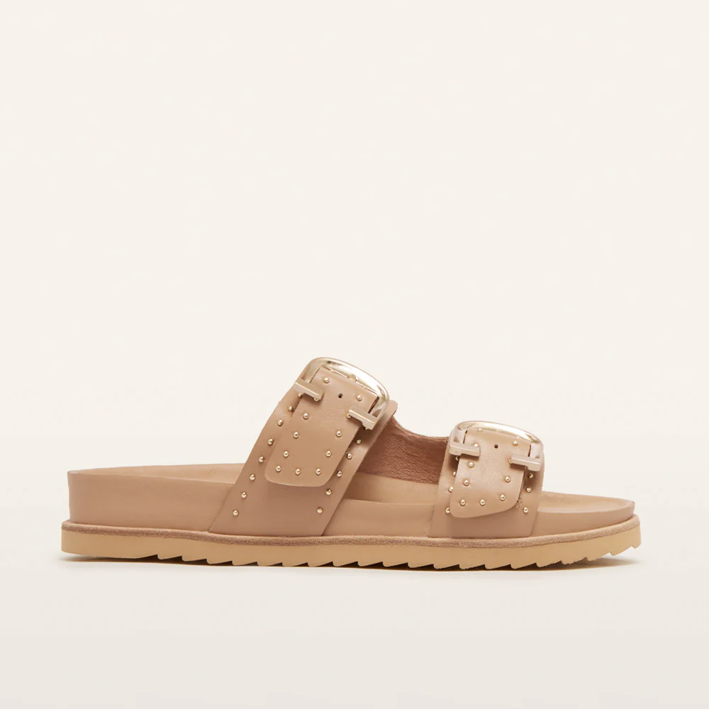 Deon Camel Stud