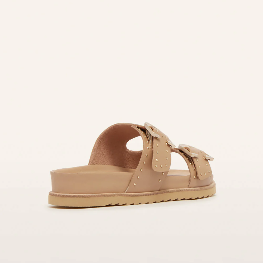 Deon Camel Stud