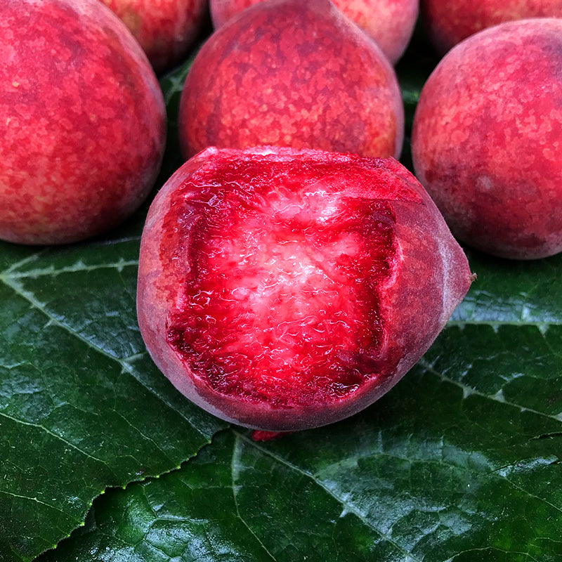 Blood Peach Seeds