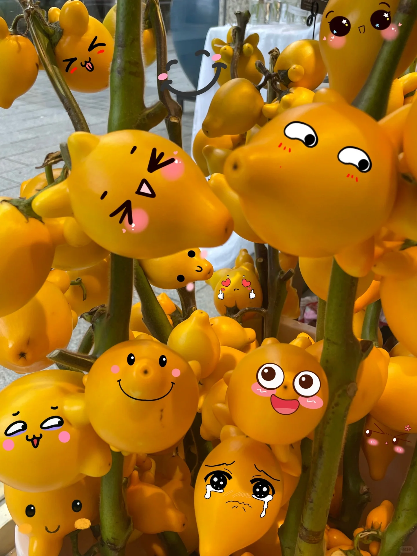 Golden Fruit Seeds 💛Five Generations Of Fruits💛