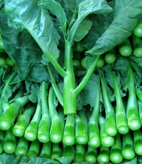 Chinese Broccoli Seeds