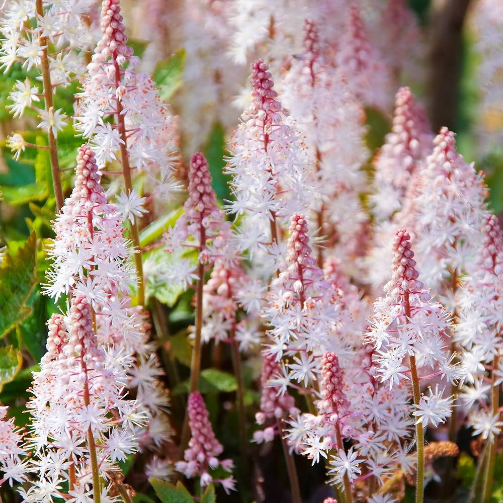 Pink Skyrocket Foam Flower