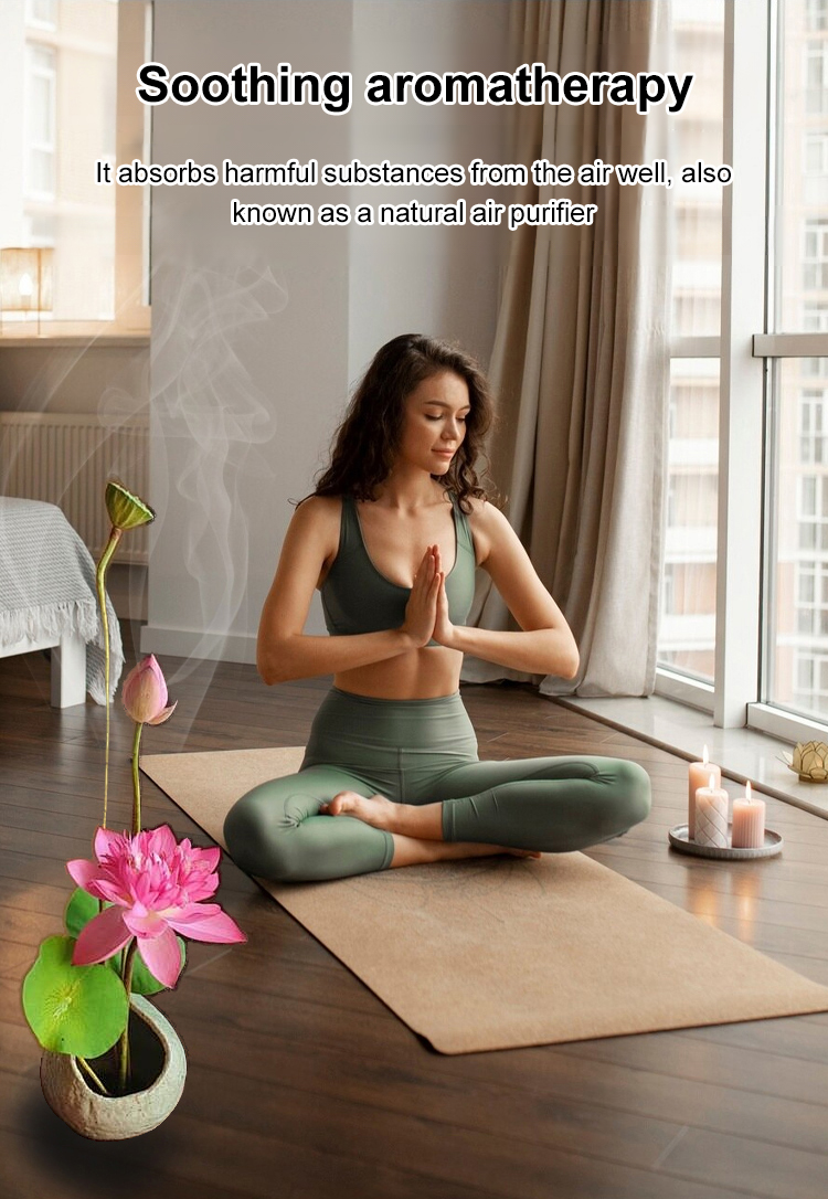 🌸 Hydroponic Lotus — Fresh, Simple & Beautiful