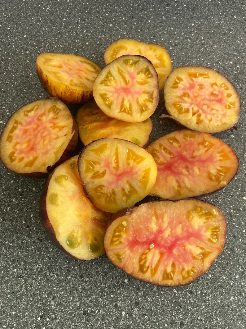 Lucid Gem Tomato Seeds Organic, Heirloom Tomatoes