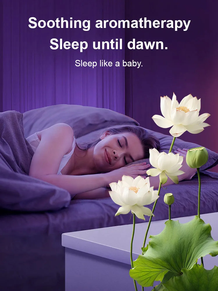 🌸 Hydroponic Lotus — Fresh, Simple & Beautiful