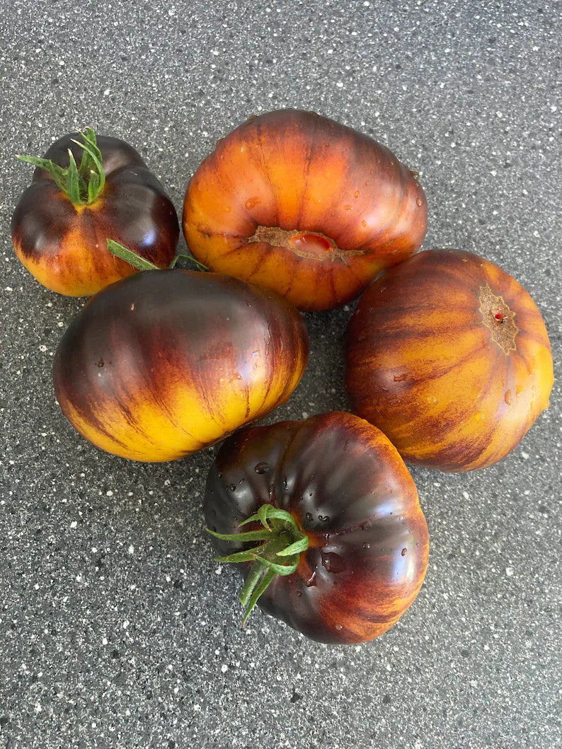 Lucid Gem Tomato Seeds Organic, Heirloom Tomatoes