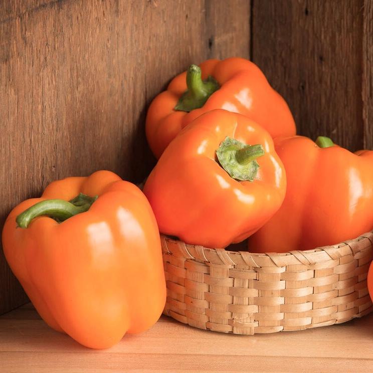 Pepper Milena F1 Organic