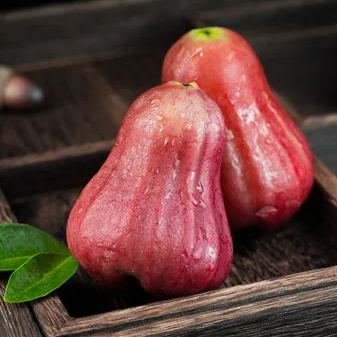 Wax-apple Fruit Seeds🍹
