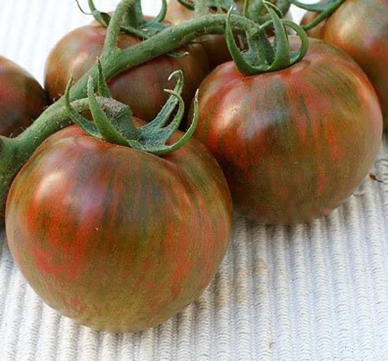 Rare Organic Vegetable Tomato Seeds 