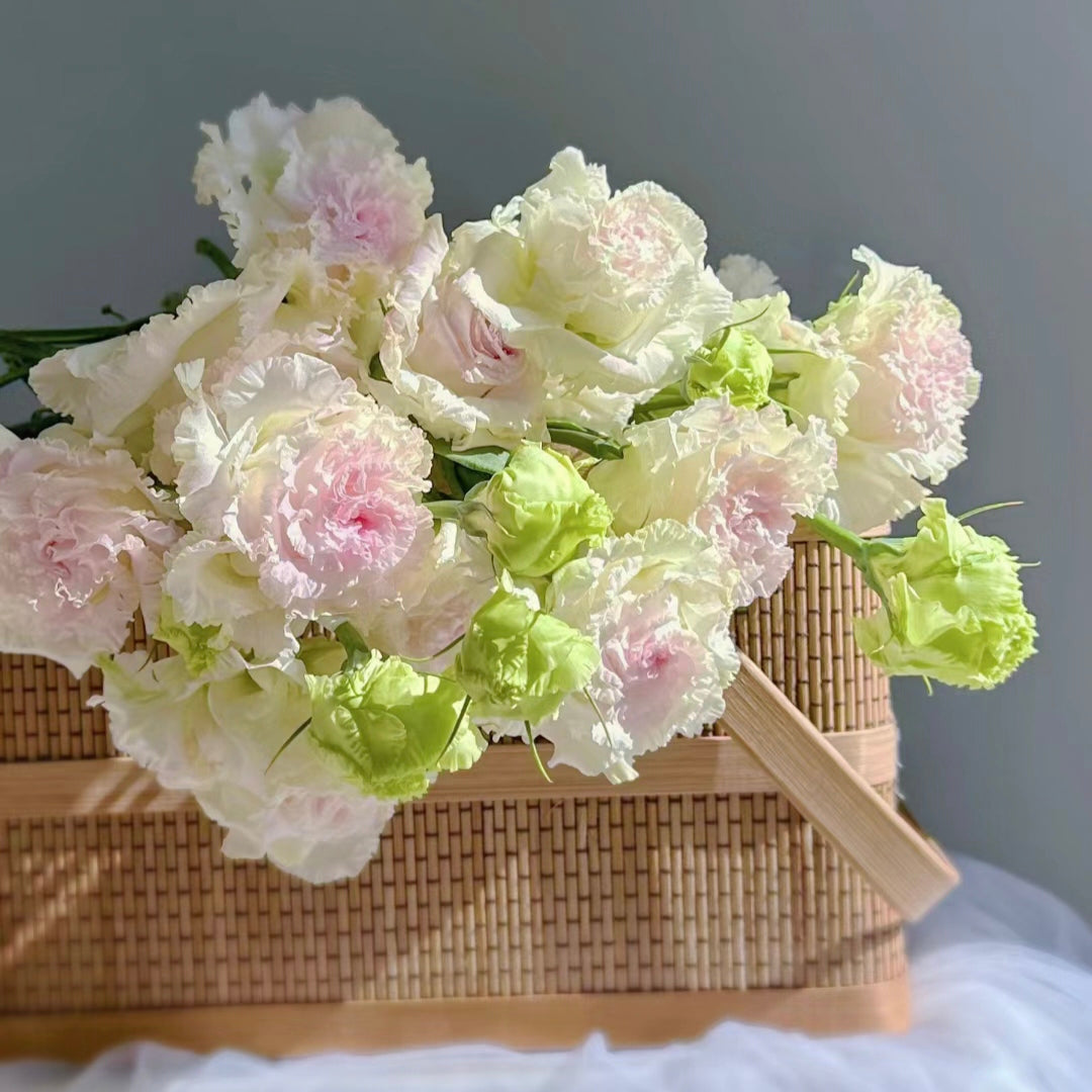 Eustoma-Ice cream Curls-Graceful Elegance in Every Petal