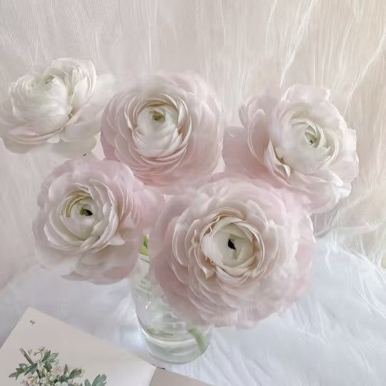 Buttercup Peony-Integrate Elegance And Luxury Into One