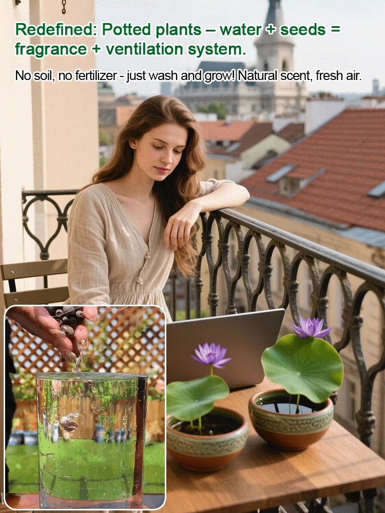 🌸 Hydroponic Lotus — Fresh, Simple & Beautiful