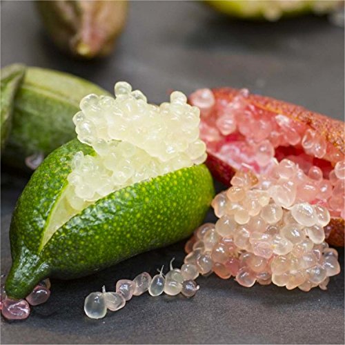 Finger Lime Seeds Lemon Caviar Seeds