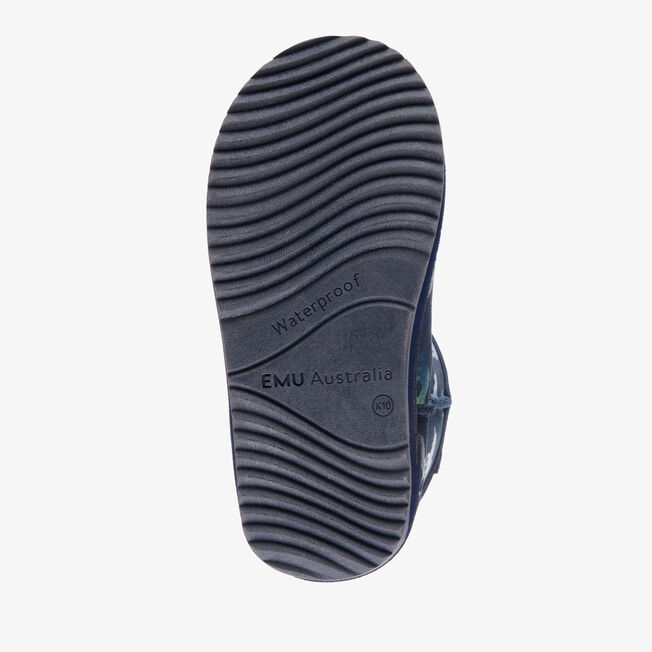 Rainbow Unicorn Brumby