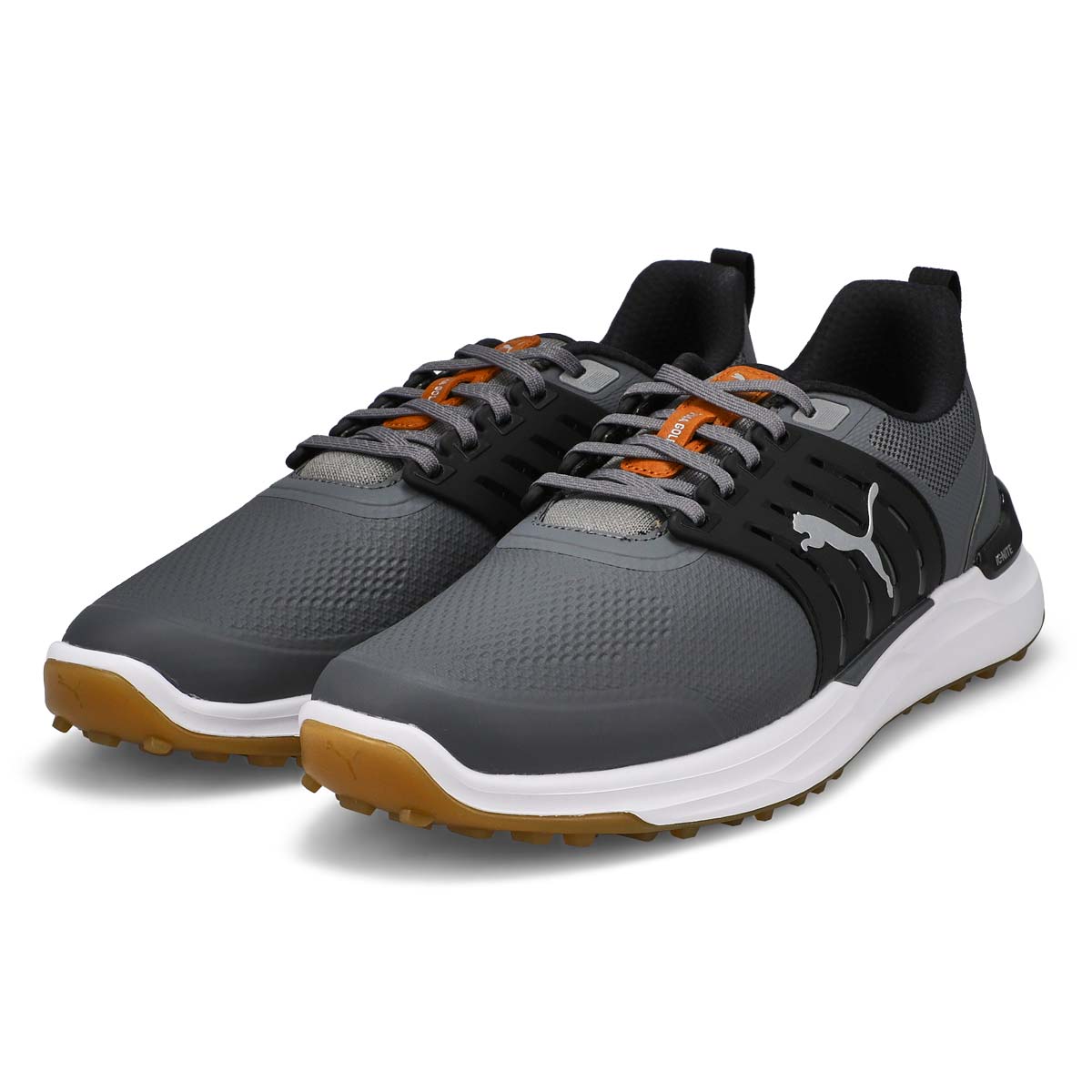 Puma Ignite Elevate 2 Men