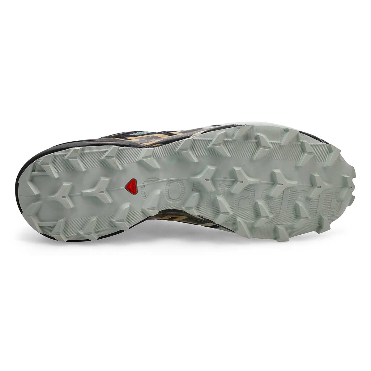 Salomon Speedcross 6 GTX Men