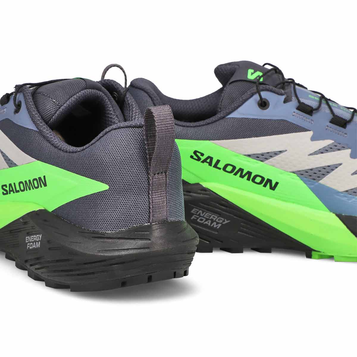 Salomon Sense Ride 5 GTX Men