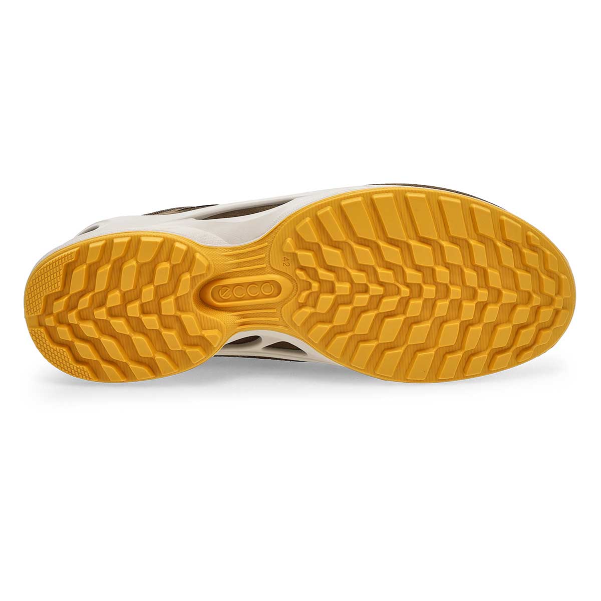 Ecco Biom Energi Explorer Men