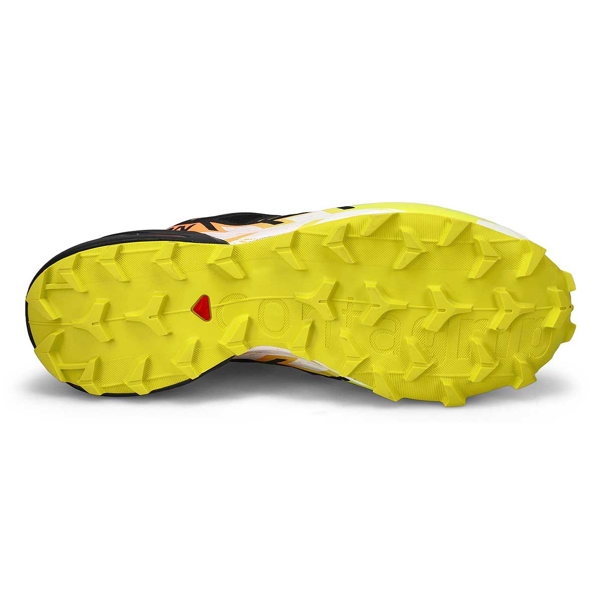 Salomon Speedcross 6 GTX Men