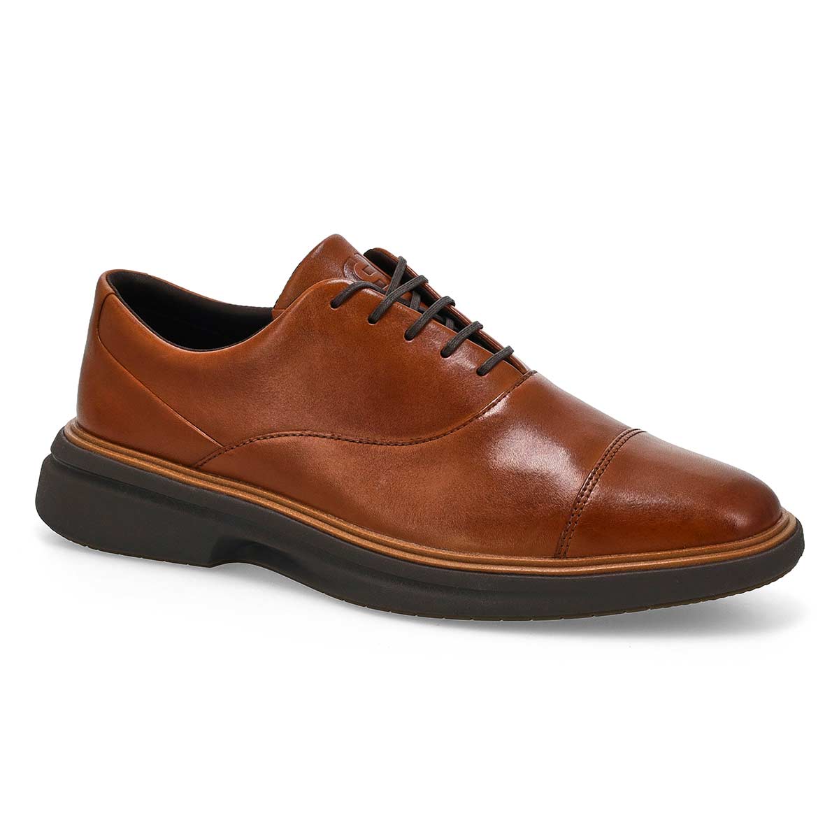 Cole Haan Orginal Grand Cityspectre Men