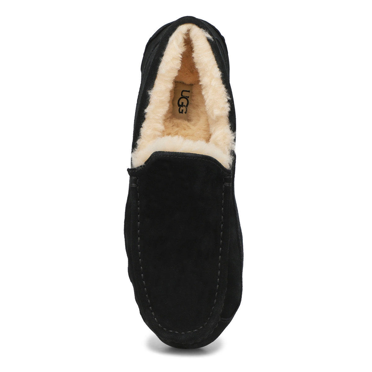 UGG Ascot Men