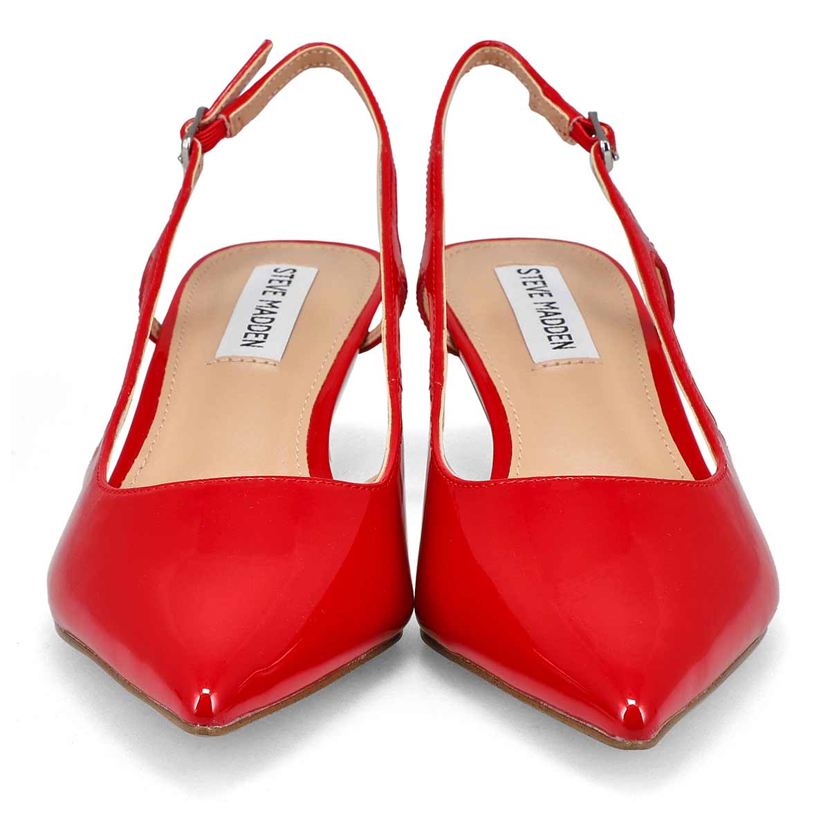 Steve Madden Legaci Women