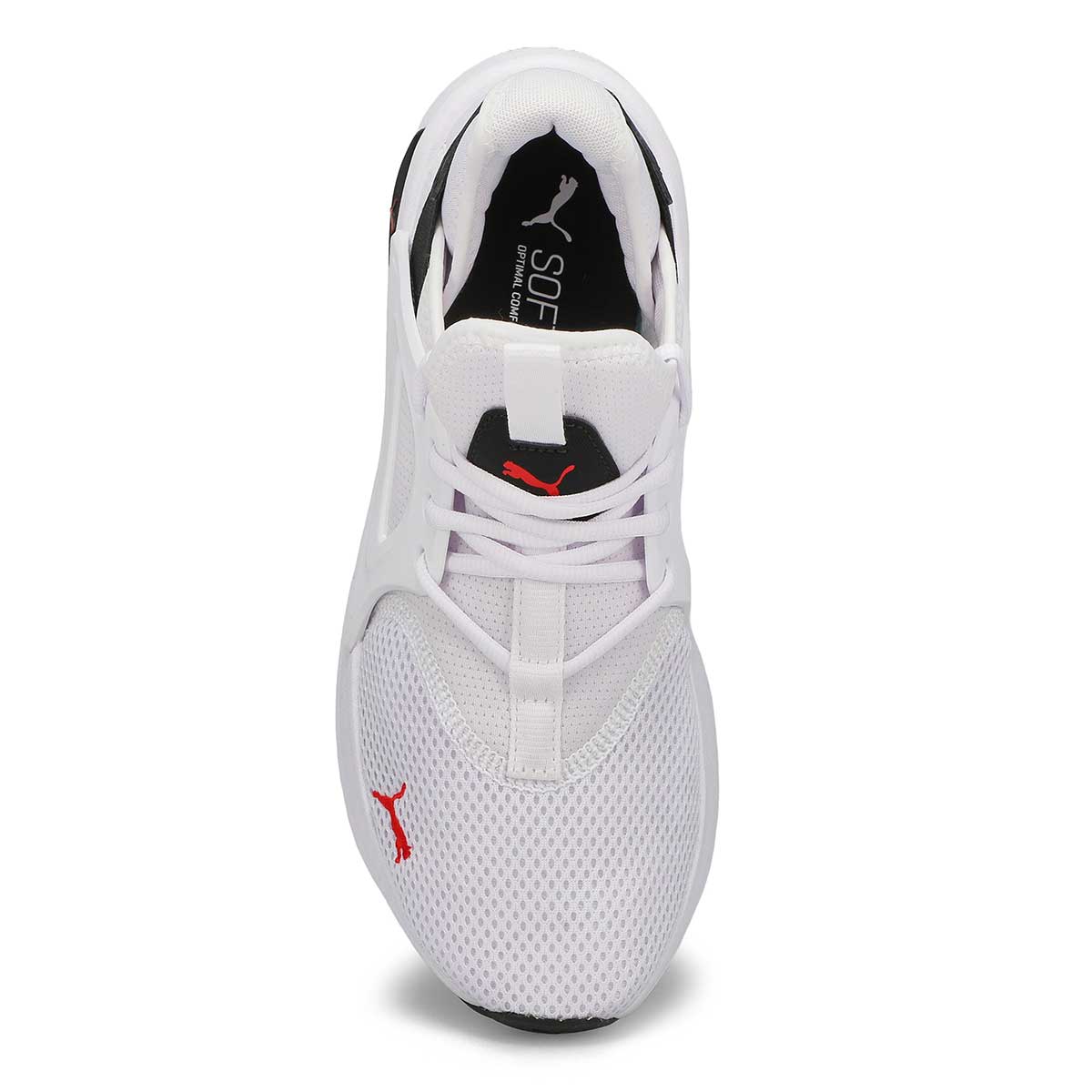 Puma Softride Enzo Evo Men