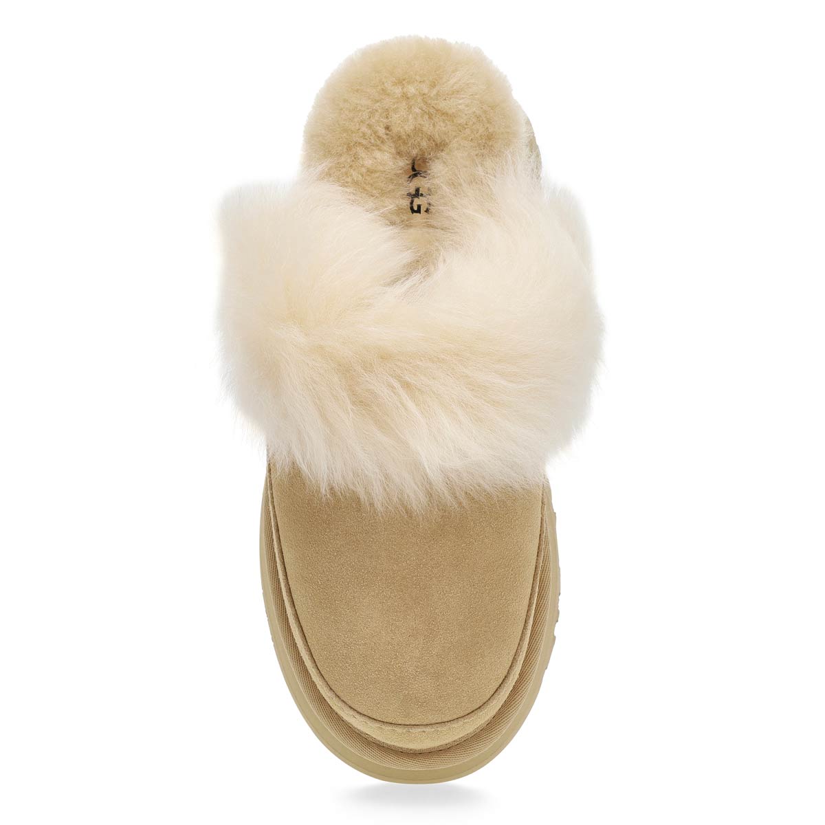 UGG Disquette Chalet Women