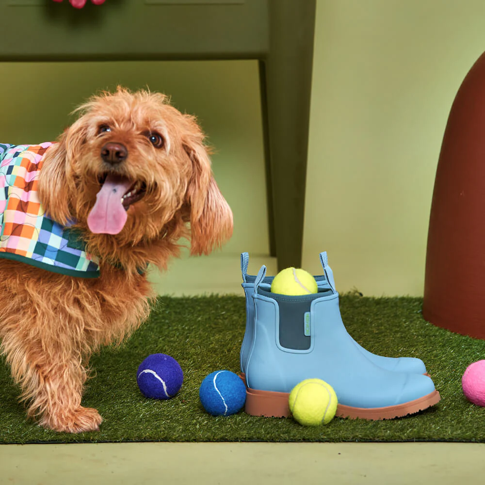 Bobbi Ankle Boot Seafoam