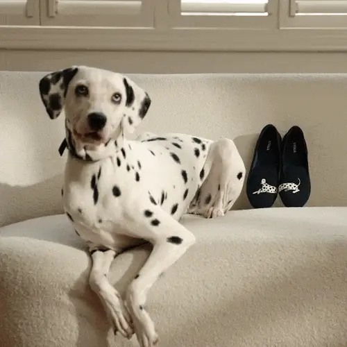 [Audrey] ラウンドトゥ アニマル刺繍 ローファー