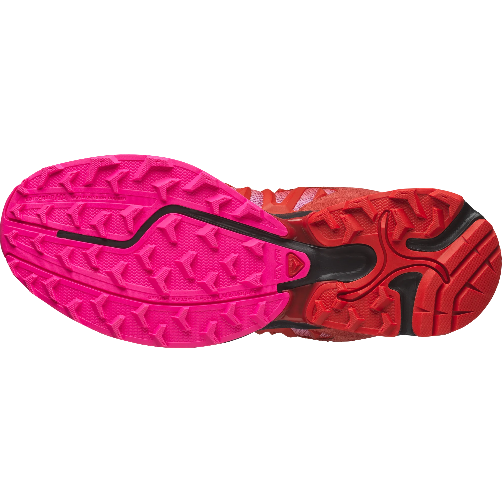 XT-WHISPER ARIES ARISE