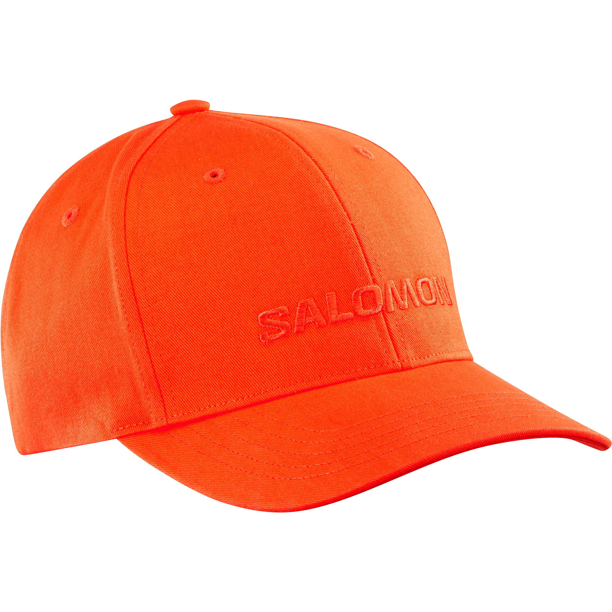 SALOMON LOGO