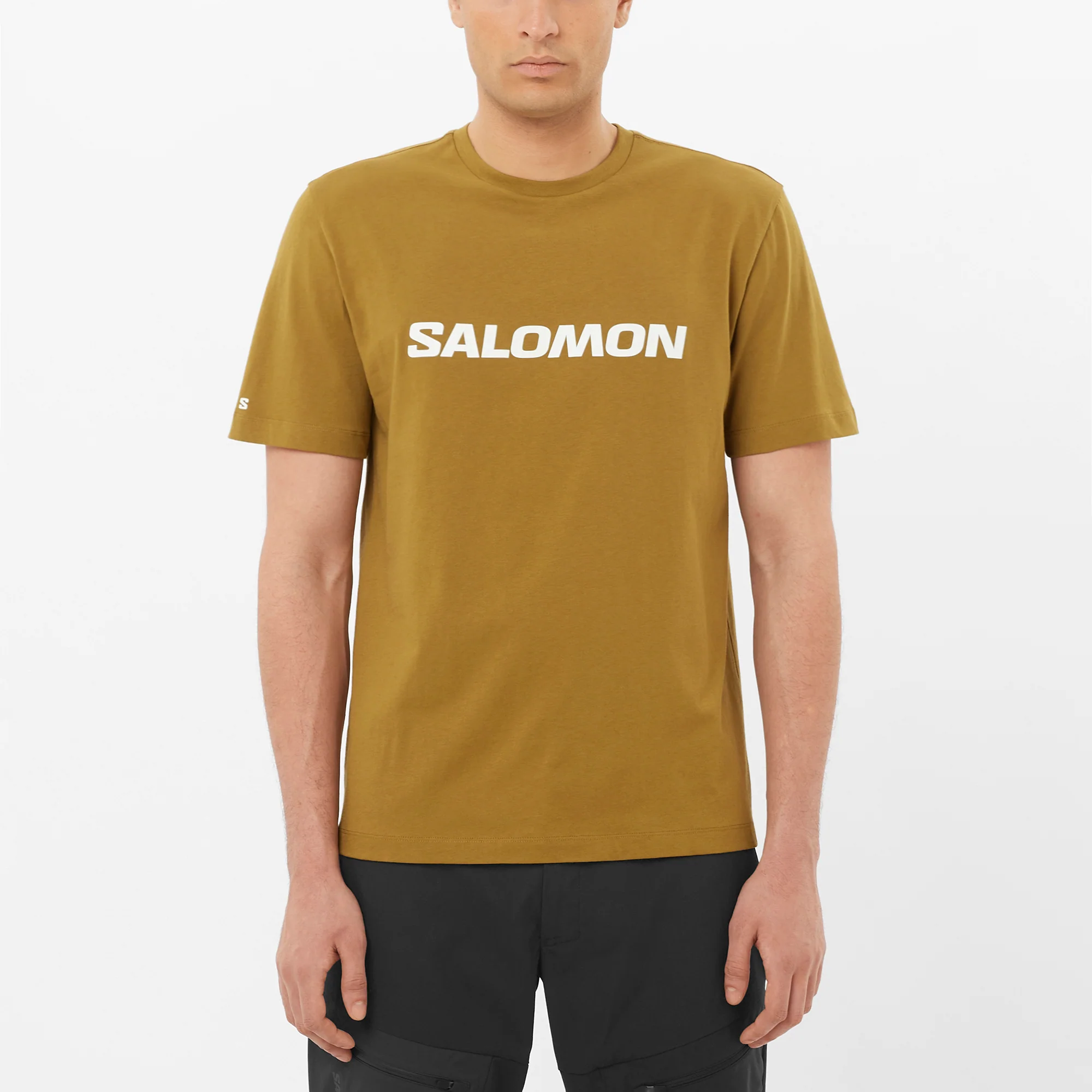 SALOMON LOGO