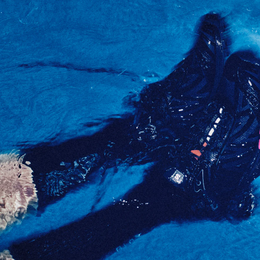 XT-WHISPER ARIES ARISE