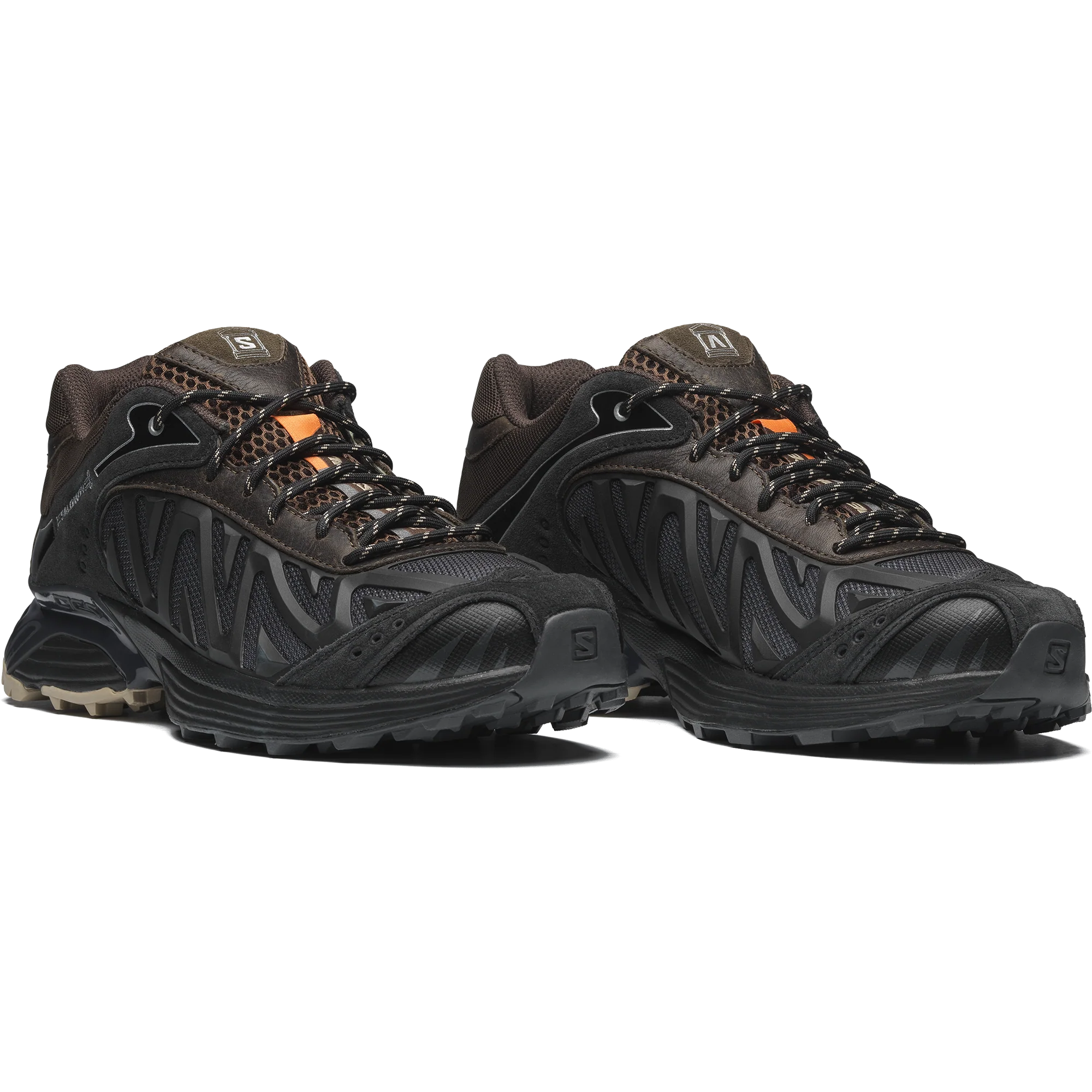 XT-WHISPER ARIES ARISE