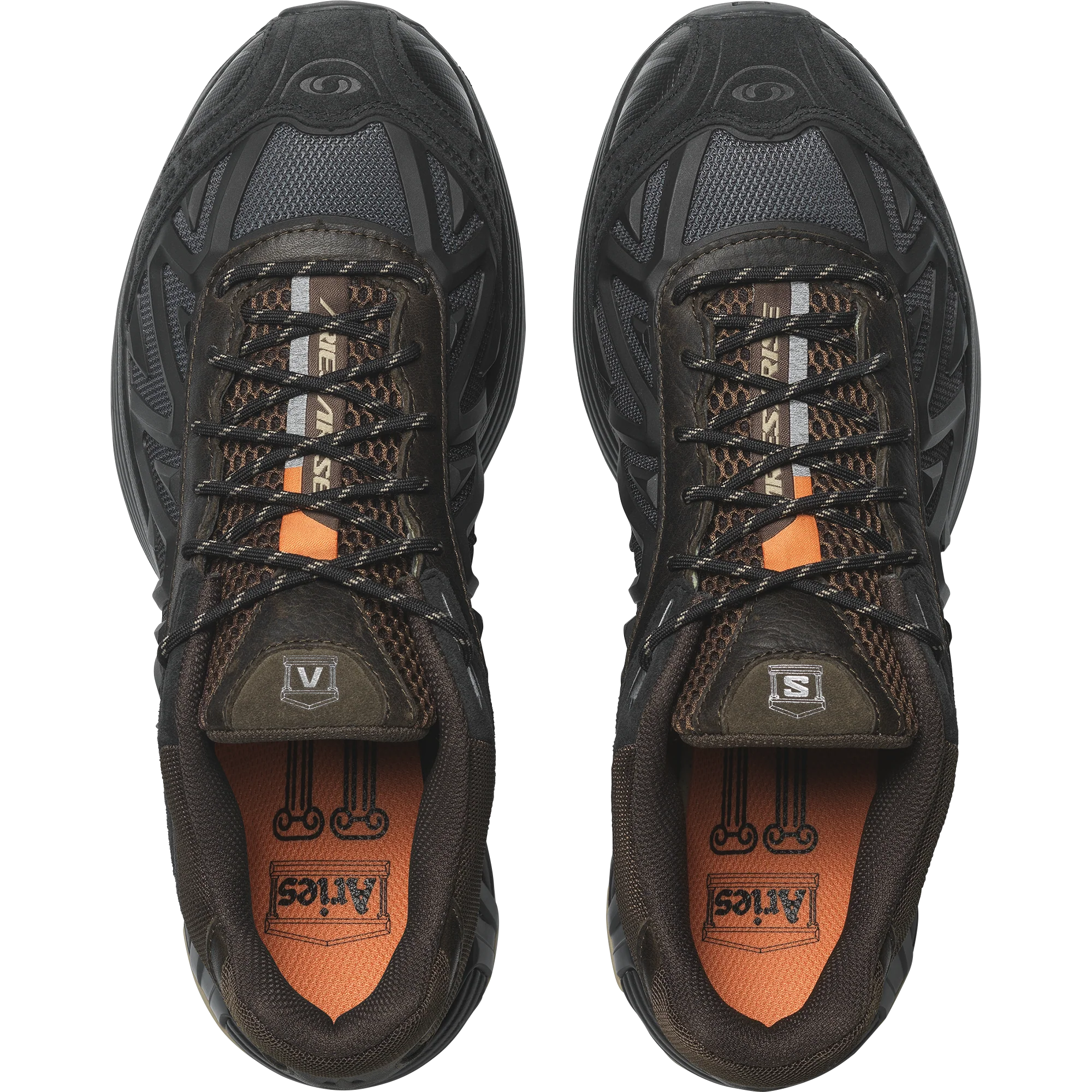 XT-WHISPER ARIES ARISE