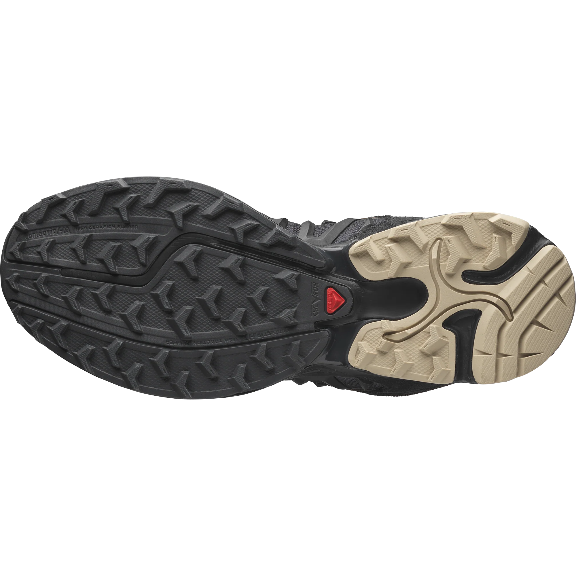 XT-WHISPER ARIES ARISE