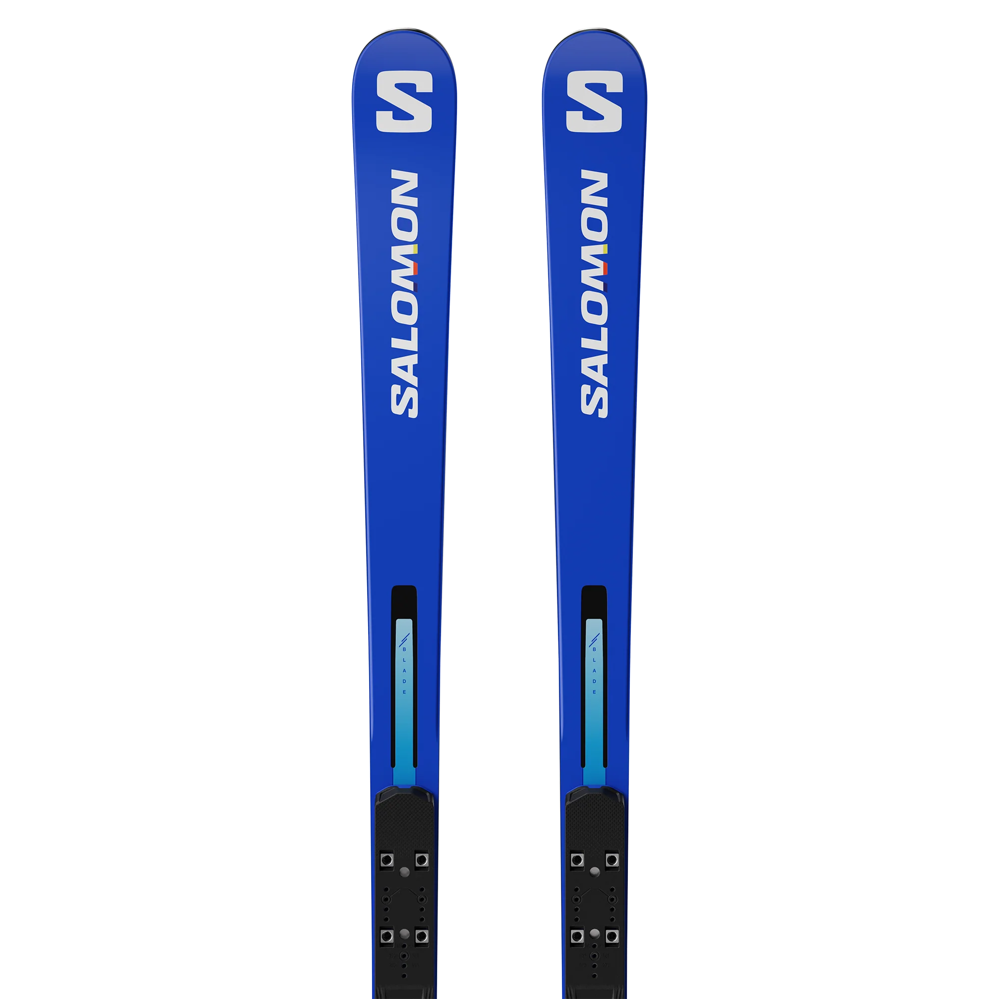 S/RACE FIS GS 173 20m