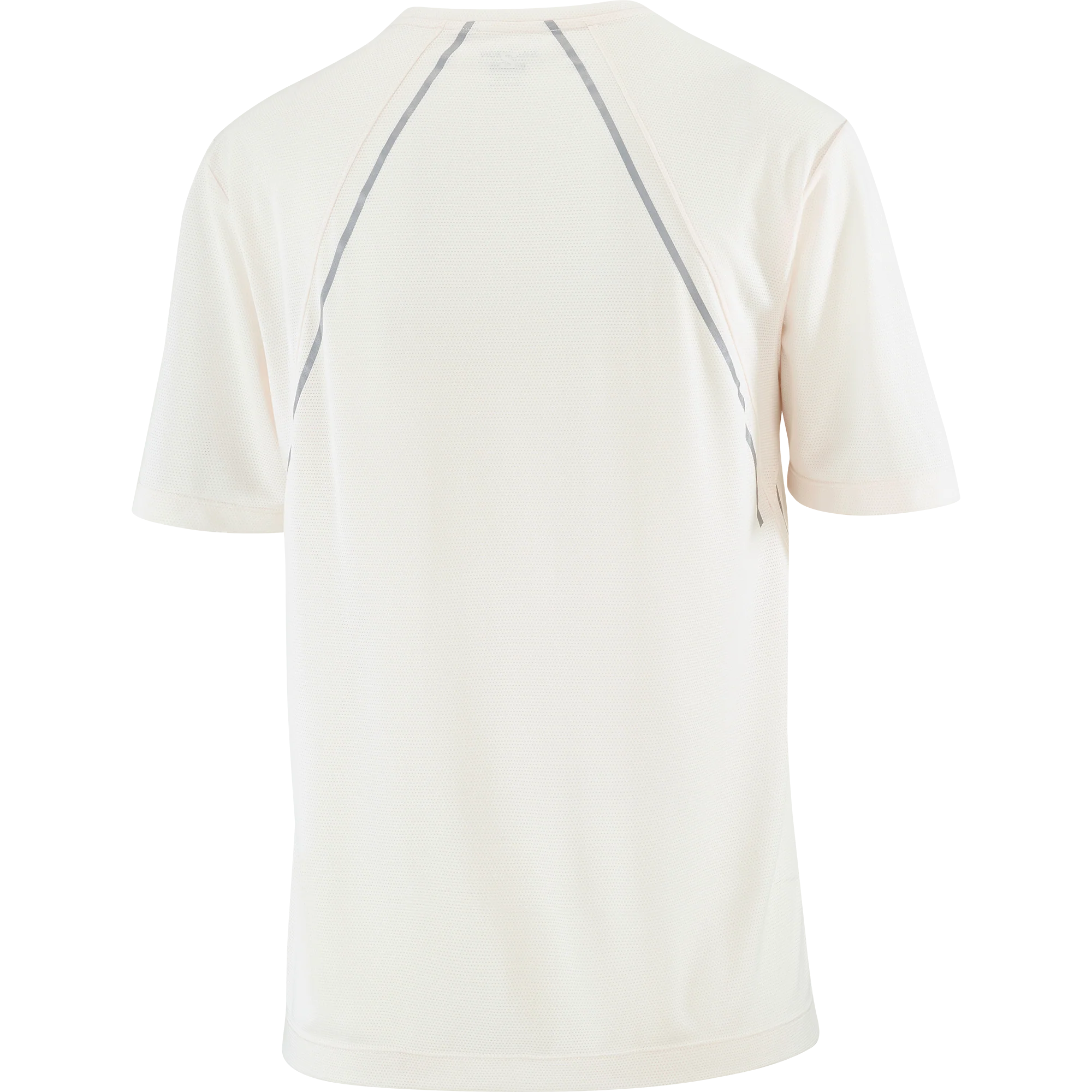 SHAKEout CORE STELLAR