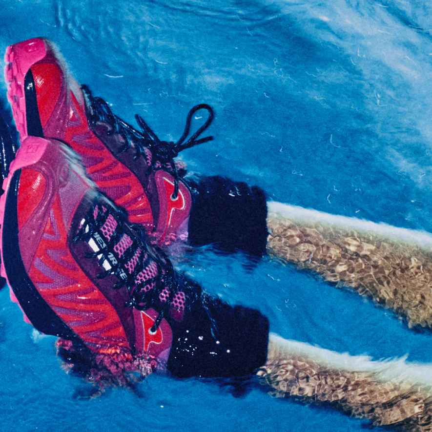 XT-WHISPER ARIES ARISE