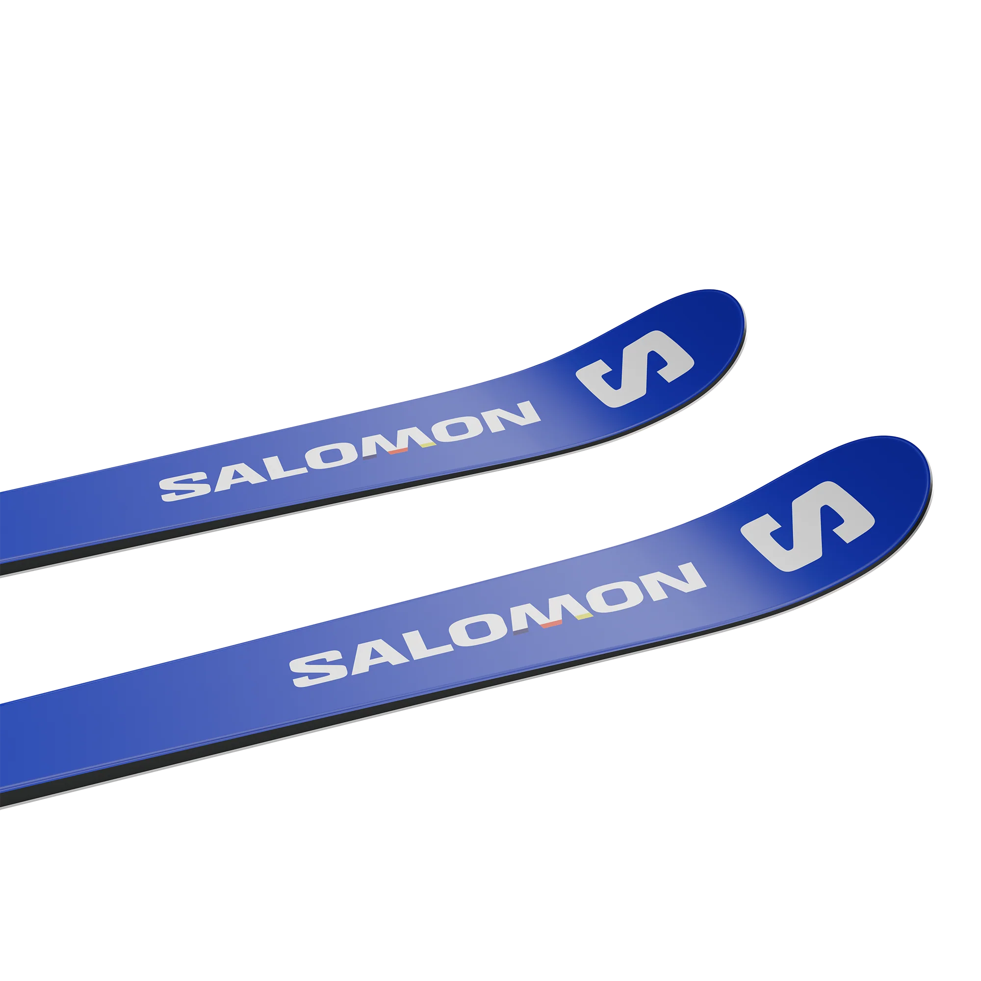 S/RACE FIS GS 173 20m