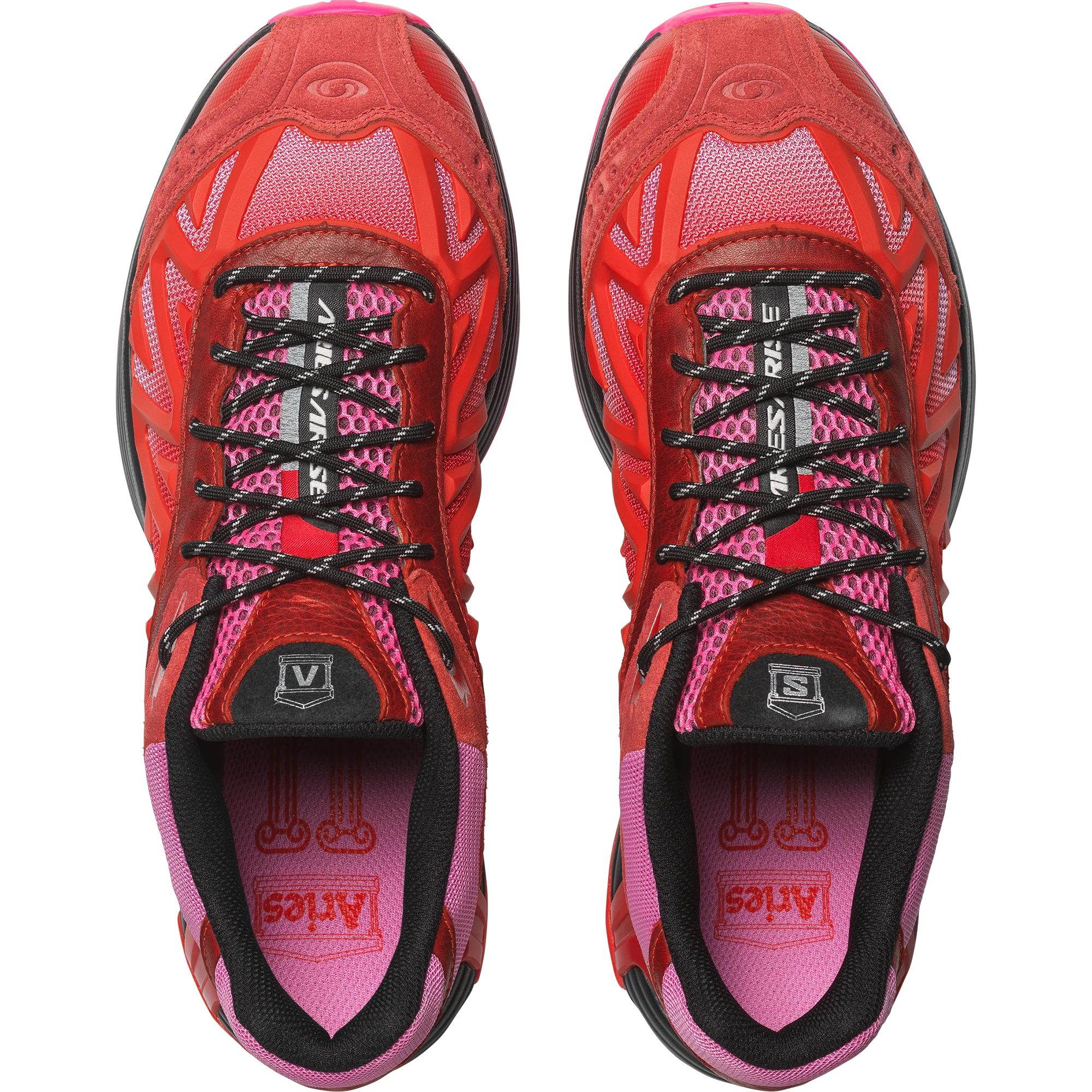 XT-WHISPER ARIES ARISE