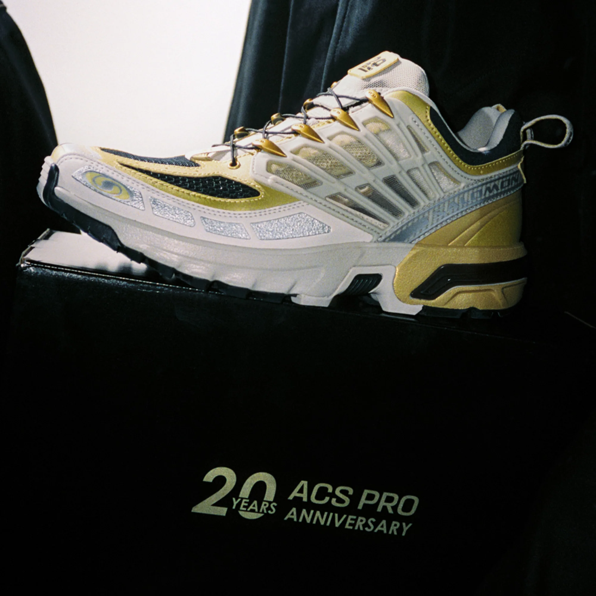 ACS PRO 20Y