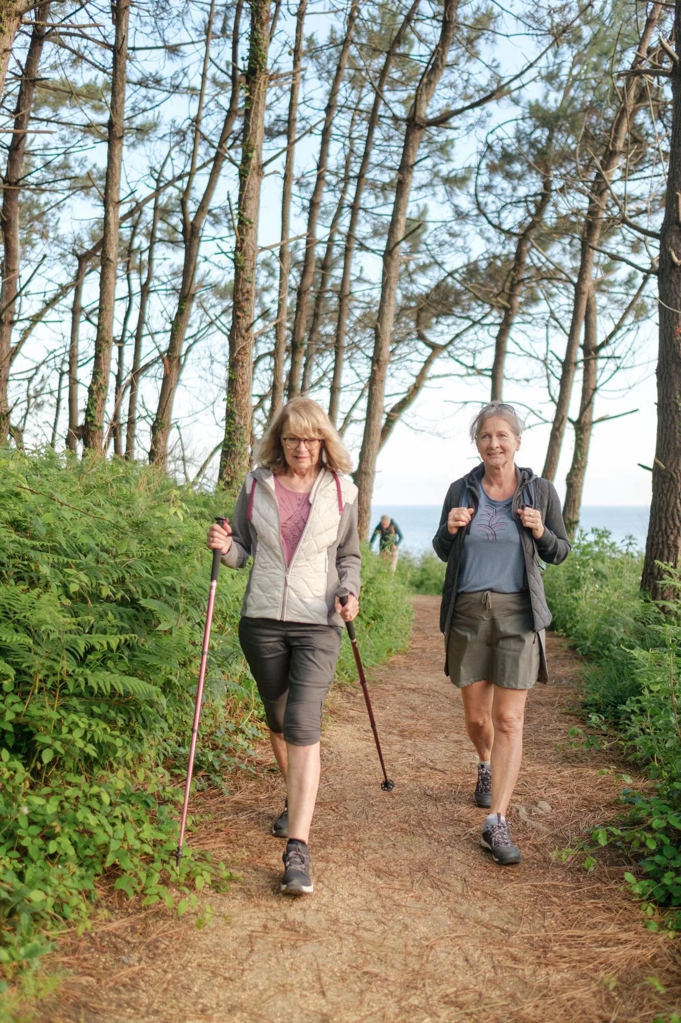 Quechua Women's Waterproof Hiking Boots NH100 Low WP