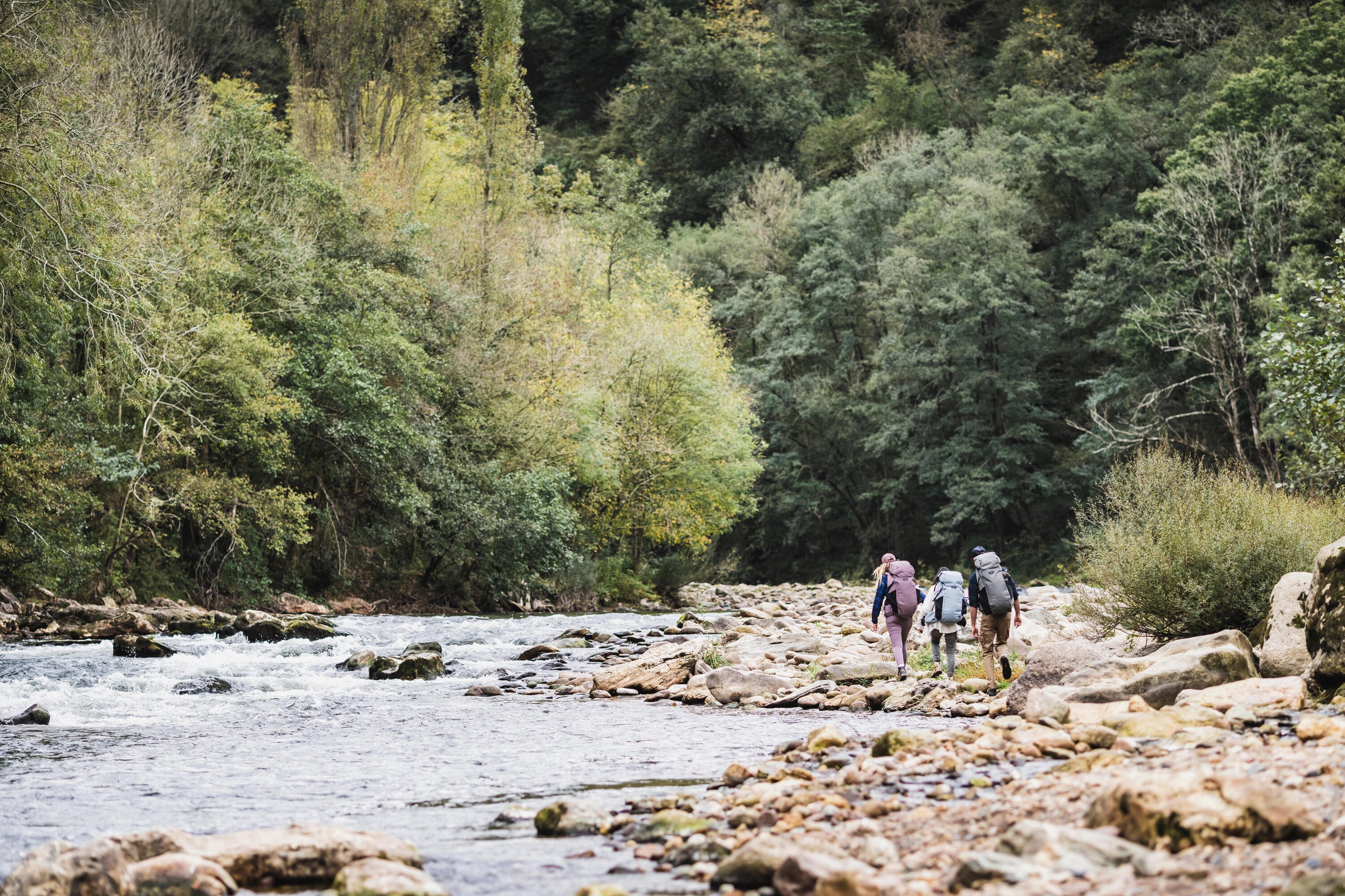 Forclaz Men's Travel 900 50+6 L Backpacking Pack