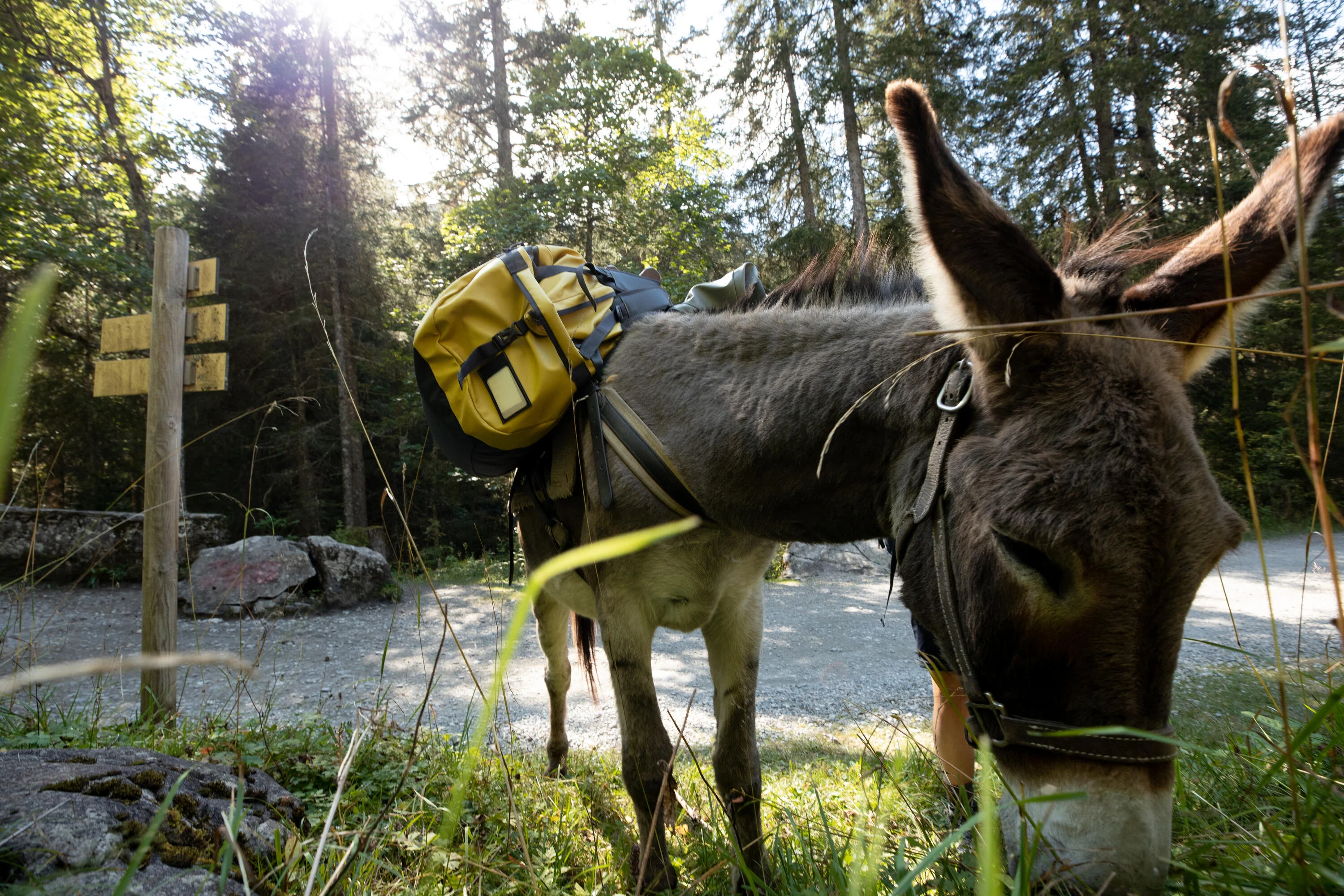 Simond 500 Extend 80-120 L Duffel Bag