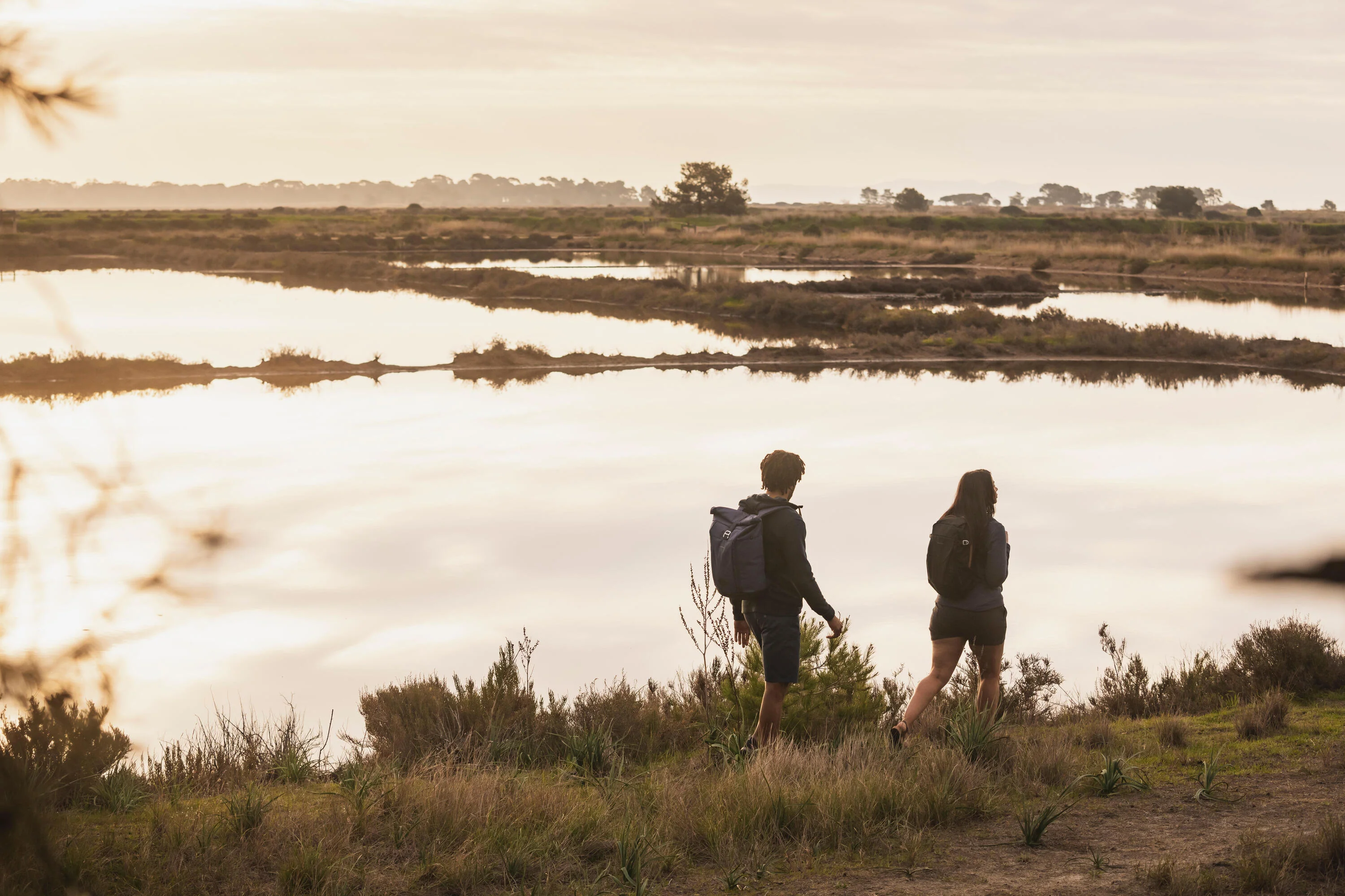 Quechua NH Arpenaz 100 20 L Hiking Backpack