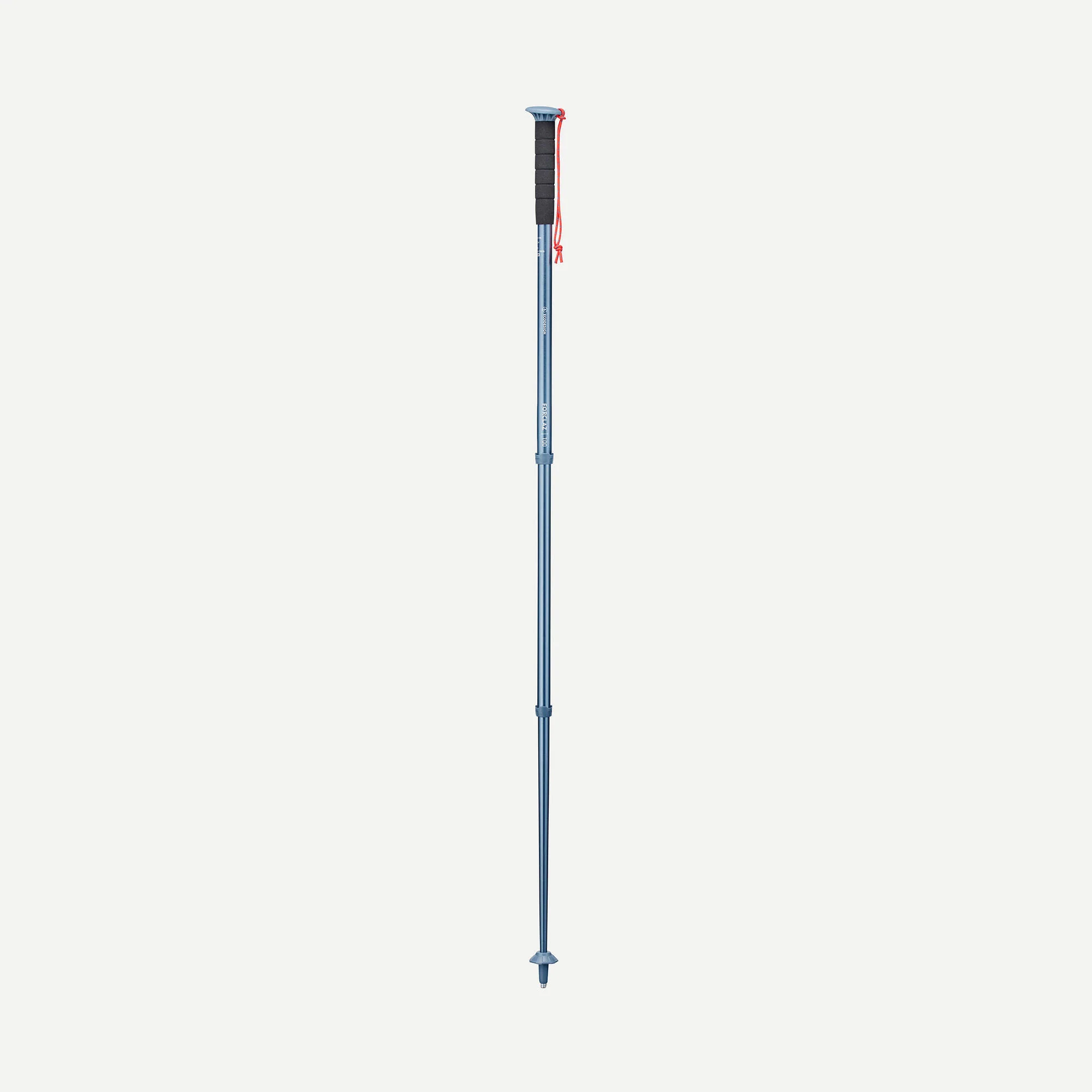 Forclaz MT100 Hiking Pole (Single Pole)